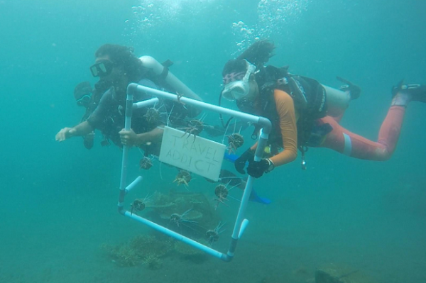 Memulai Awal Tahun Baru dengan Menjelajah Alam Kota Penyu