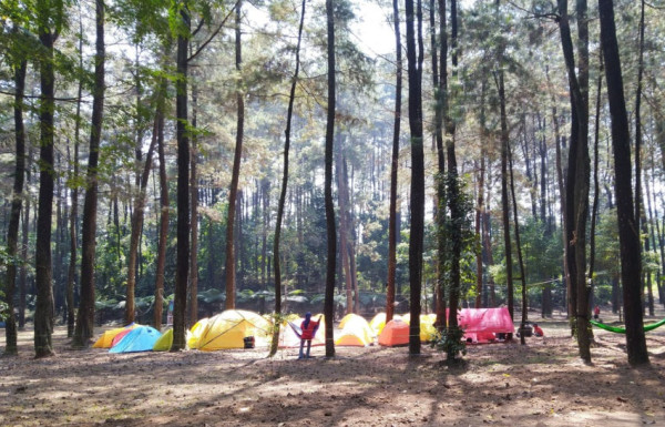 5 Tempat Wisata di Bogor Ini Cocok untuk Berkemah Bersama Keluarga