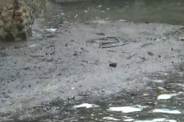 Gawat, Minyak Hitam Cemari Pantai Nongsa Batam