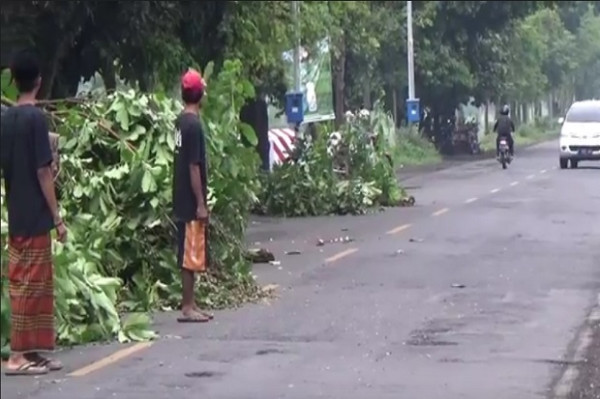 Tragis! Gara-gara Jalan Berlubang Ayah, Anak dan Cucu di Jember Tewas Kecelakaan