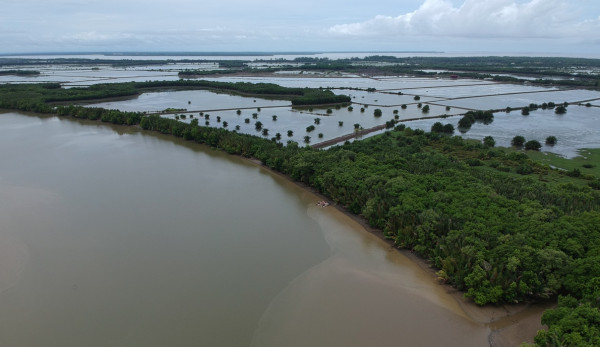 Jejak Peradaban Eropa Abad ke-19 di Delta Mahakam, dari Keramik hingga Botol