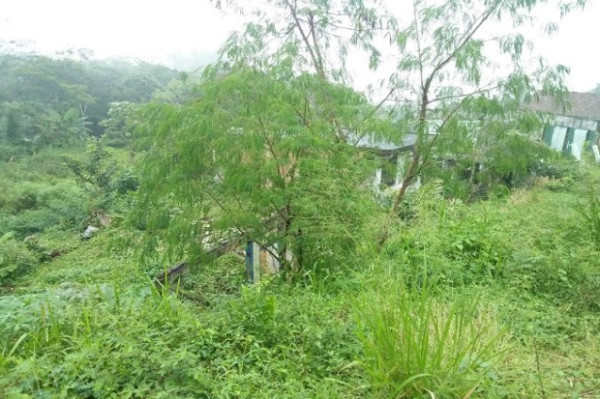 Penampakan 