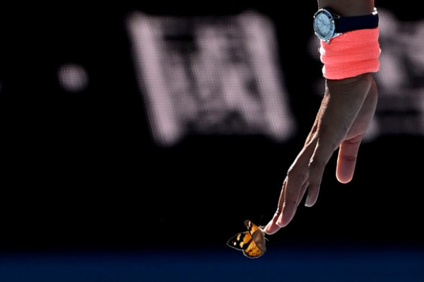 Selamatkan Kupu-Kupu Saat Ikuti Australian Open, Naomi Osaka Tuai Pujian