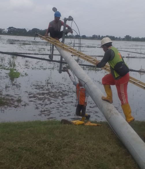 12 Tiang Listrik Roboh, PLN UP3 Cikarang Reaksi Cepat Lakukan Penormalan