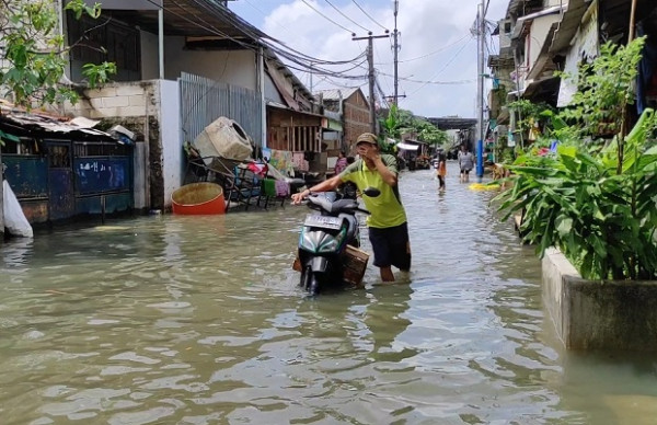 Banjir Rendam Kapuk Muara sejak Kamis, Warga: Sangat Terganggu, Cari Duit Susah