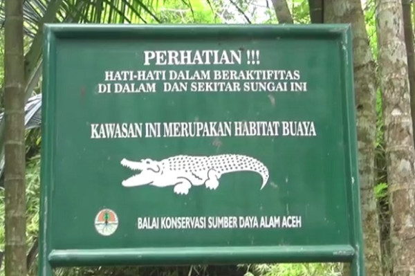 Siswa SD di Aceh Besar Harus Bertaruh Nyawa Lewati Aliran Sungai Habitat Buaya untuk ke Sekolah