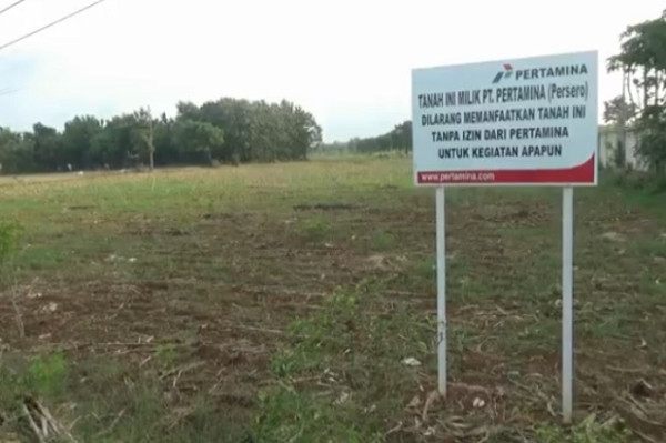 Jadi Miliader dan Borong Mobil Mewah, Petani Tuban Tetap Pilih Bekerja di Ladang