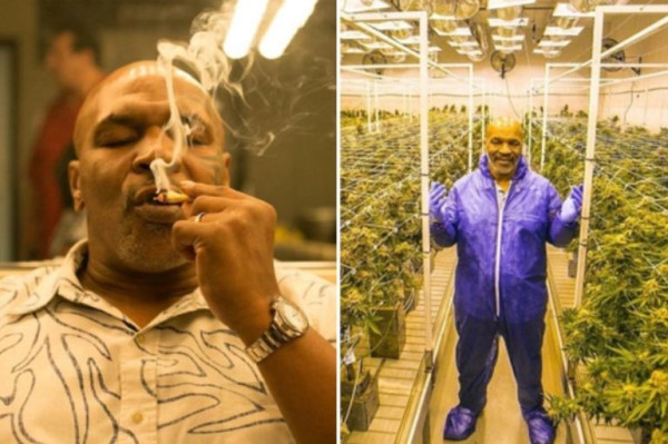 Cerita Mike Tyson Bangkrut tapi Bangkit Lagi Jadi Miliuner
