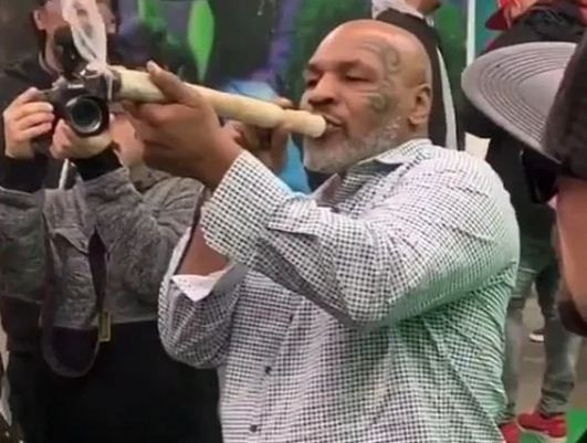 Geger Kerajaan Ganja Mike Tyson: Ada Kampus, Hotel, Raup Rp9,5 Miliar!