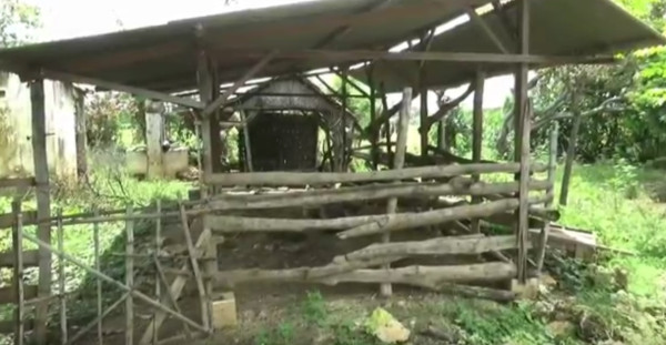 Tersapu Kilang Minyak, 3 Dusun di Tubang Berubah Jadi Kampung Mati