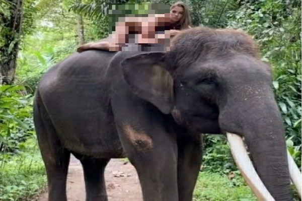 Gempar Model Cantik Rusia Telanjang di Atas Gajah, Polda Bali: Tak Ada Unsur Pidana