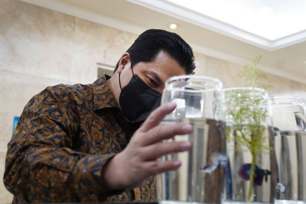 Bahkan Erick Thohir Juga Kepincut Ikan Cupang