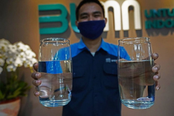Bahkan Erick Thohir Juga Kepincut Ikan Cupang