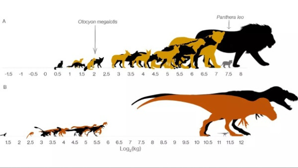 Terjawab Sudah Kenapa Fosil Dinosaurus Ukuran Sedang Tak Pernah Ditemukan