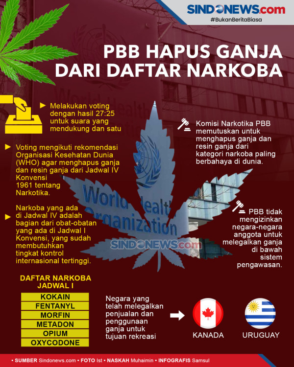 Ganja Berbahaya Bagi Orang yang Sering Sakit Kepala