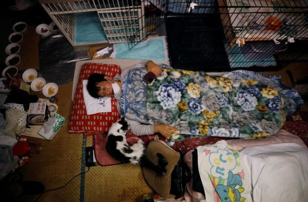 Pria Penyelamat Kucing-kucing yang Terlupakan di Zona Nuklir Fukushima