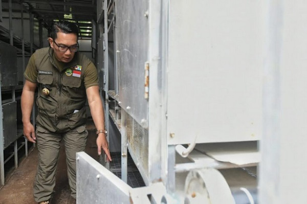 Kenalkan Program Petani Milenial 4.0 Ini Penampakan Kang Emil saat Tinjau Apartemen Ayam di Bandung