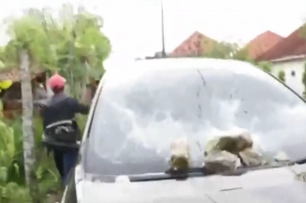 Sampang Gempar! Massa Lepaskan Bandar Sabu dan Rusak Mobil BNNP Jatim