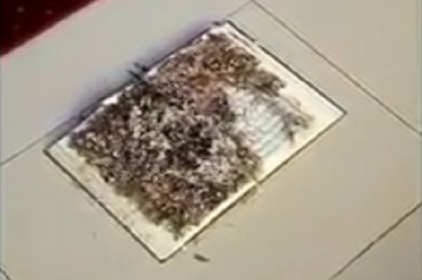 Serang Gempar, Sebuah Al-Qur'an Dibakar di Dalam Masjid