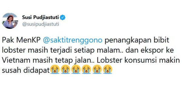 Kasus Masih Berjalan di KPK, Susi Singgung Penangkapan Benih Lobster Masih Terjadi