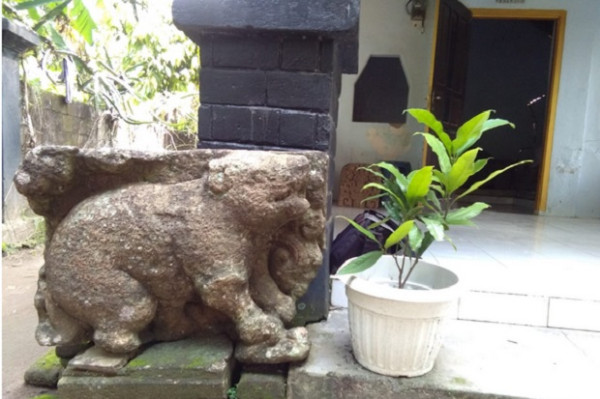 Kemunculan Macan Putih Diyakini Berhubungan dengan Relief di Makam Raja Singasari Wisnuwardhana Candi Mleri