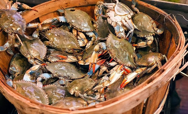Mentalitas Kepiting, Penyakit Tak Suka Lihat Orang Lain Sukses
