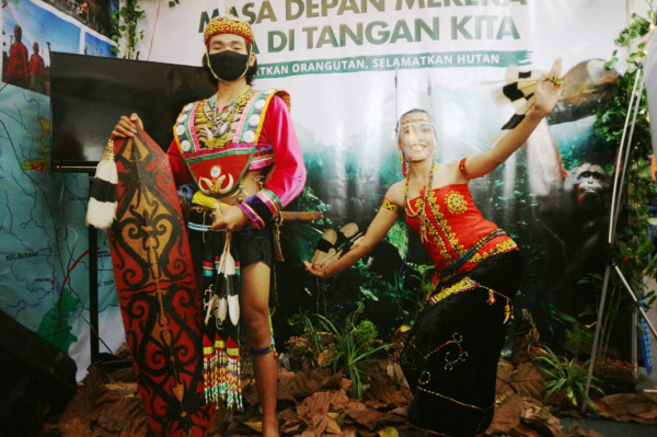 Tradisi Berburu Suku Dayak dan Keyakinan Orangutan Punya Hubungan dengan Nenek Moyang