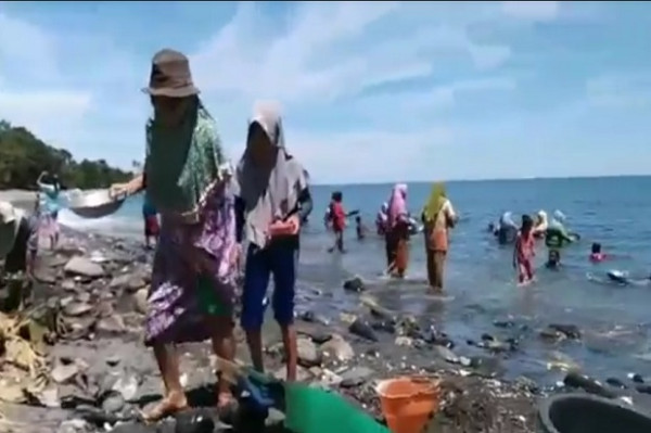 Penampakan Warga Maluku Tengah Beramai-ramai Berburu Emas di Pantai Pohon Batu