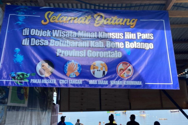 Seru! Berenang Bersama The Gentle Giant di Botubarani