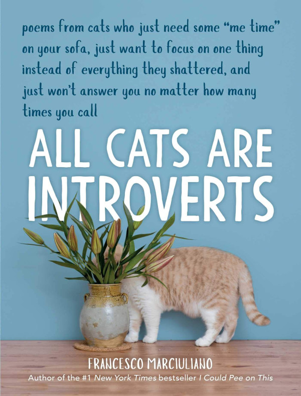 Kamu Pencinta Kucing? Baca Buku Seru tentang Perkucingan Ini!