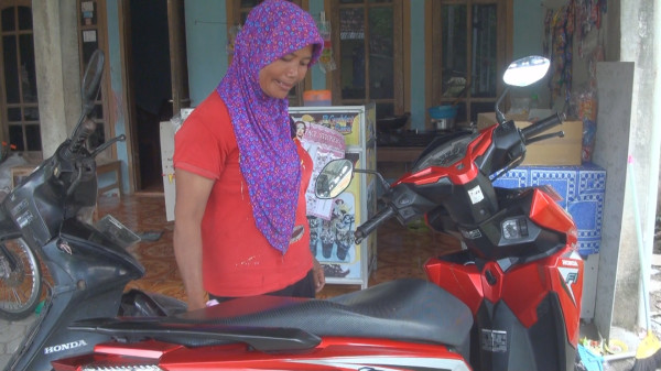 Petani Cabai di Desa Pucuk Mojokerto Mendadak Jadi Jutawan