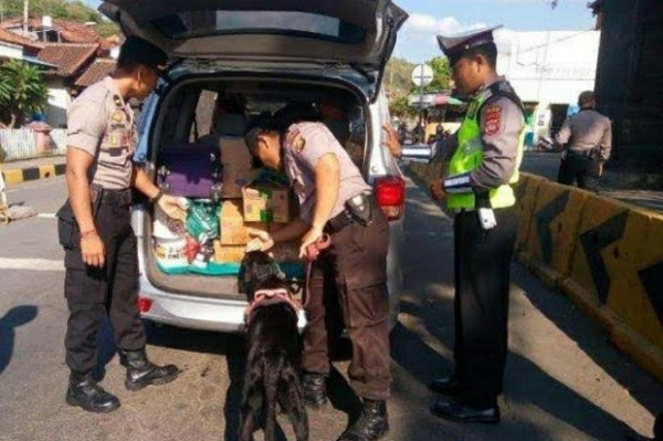 Antisipasi Teror, Anjing Pelacak Jaga Pintu Masuk Bali