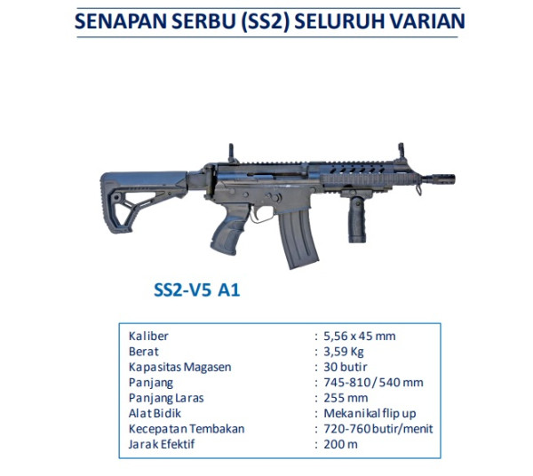Ini Spesifikasi Senjata SS2 yang Akan Digunakan untuk Latihan Komcad