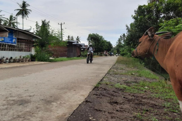 Jalan Poros Canru-Liu Dibeton, Mobilitas dan Ekonomi Masyarakat Meningkat