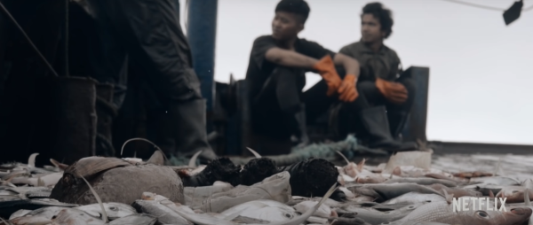 Dari Perbudakan hingga Jaring Pembunuh, Ini Fakta Mengerikan Industri Perikanan dalam Film 'Seaspiracy'