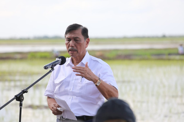 Gubernur Kalteng Dampingi Sejumlah Menteri Tinjau Kawasan Food Estate