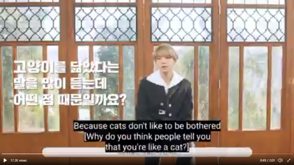 Suga BTS Akui Dirinya Memang Mirip Kucing
