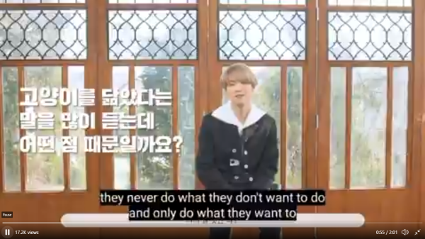 Suga BTS Akui Dirinya Memang Mirip Kucing
