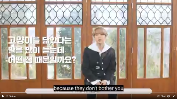 Suga BTS Akui Dirinya Memang Mirip Kucing