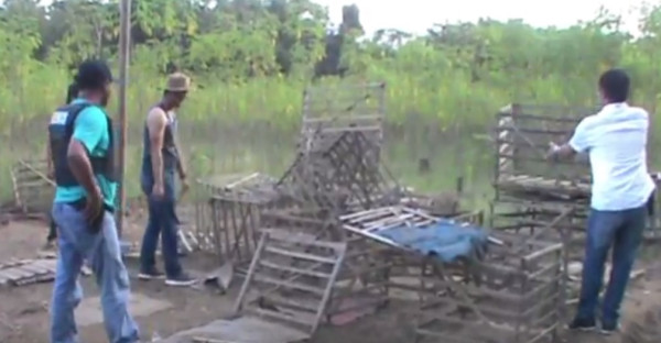 Dor..dor..dor! Pelaku Sabung Ayam Kocar-kacir ke Hutan Tak Hiraukan Suara Tembakan
