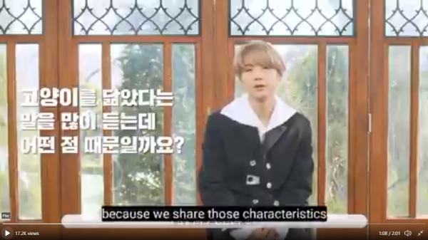 Suga BTS Akui Dirinya Memang Mirip Kucing