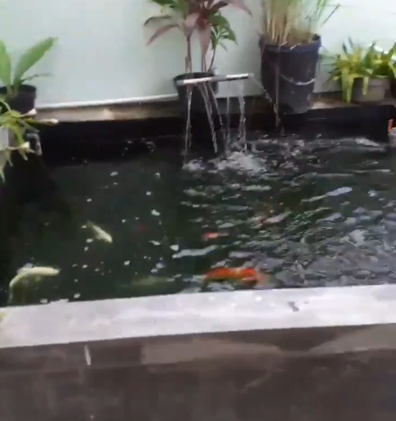 Dampak Gempa Malang, Air Kolam Bergolak, Kaca Berserakan, dan Atap Rumah Runtuh