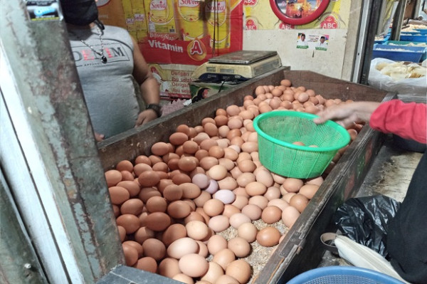 Harga Daging Sapi hingga Telur Ayam Menanjak Jelang Ramadan
