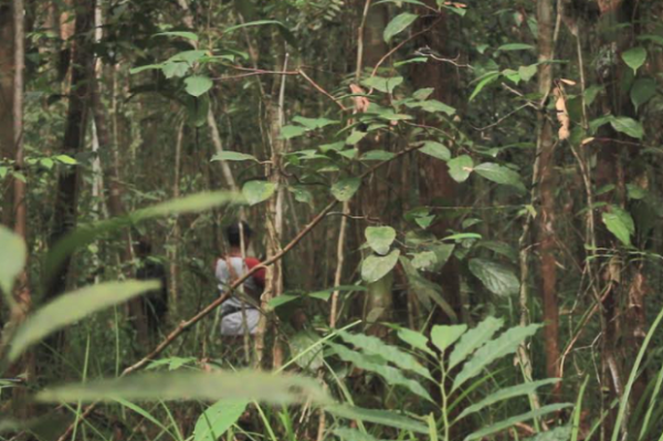 Misteri Hutan di Kutai Kartanegara, Bicara Sembarangan Bisa Tersesat dan Hilang