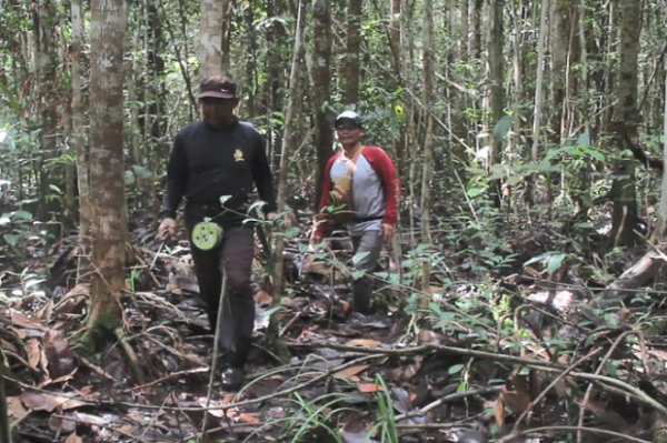 Misteri Hutan di Kutai Kartanegara, Bicara Sembarangan Bisa Tersesat dan Hilang