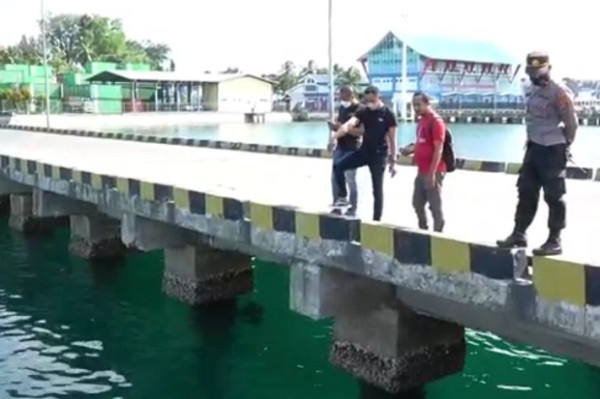 Geger! Penampakan Seekor Hiu Paus Terjebak di Kolam Pelabuhan Murhum Baubau