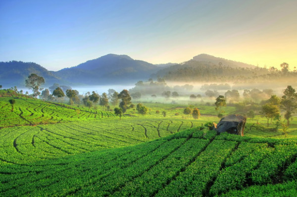 Ini 5 Lokasi Wisata Alam yang Hits dan Instagramable