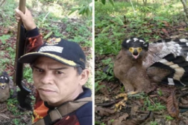 Oknum Kades di Bengkulu Utara Foto Bareng Burung Elang yang Ditembak Dikecam