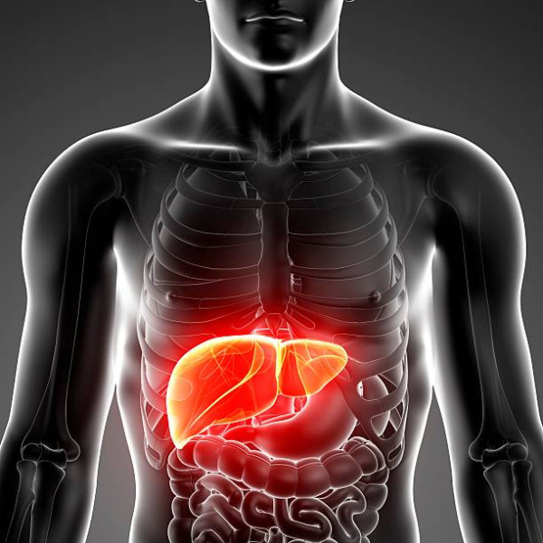 10 Alasan untuk Kamu Tidak Lagi Minum Diet Soda