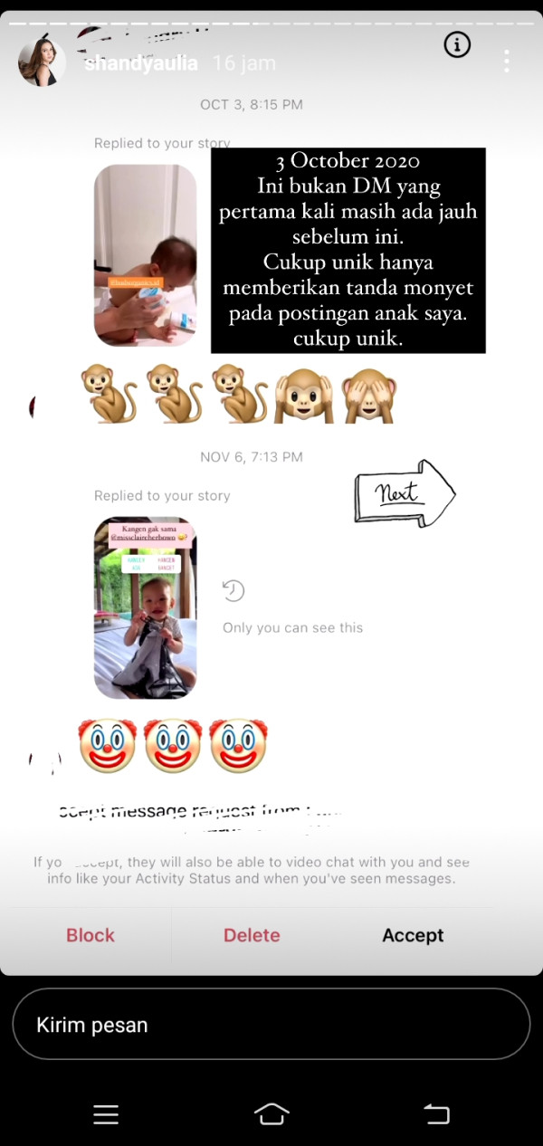 Anak Dihina Gizi Buruk, Shandy Aulia Tak Tinggal Diam